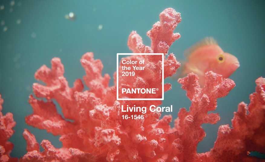 Цвят корал в интериора на дома Pantone