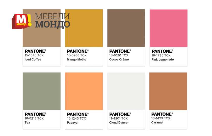 moderni-cvetove-2026